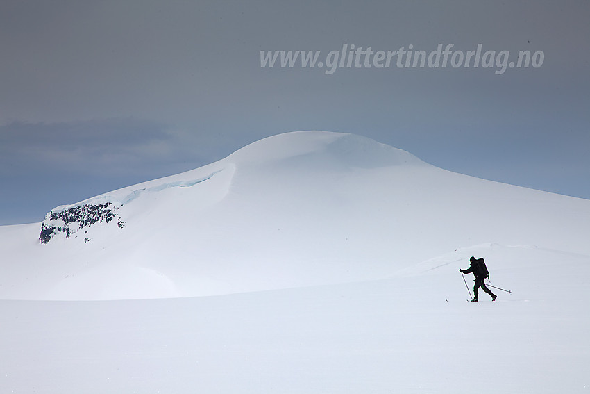 Snønipa (1827 moh) fra øst-nordøst.