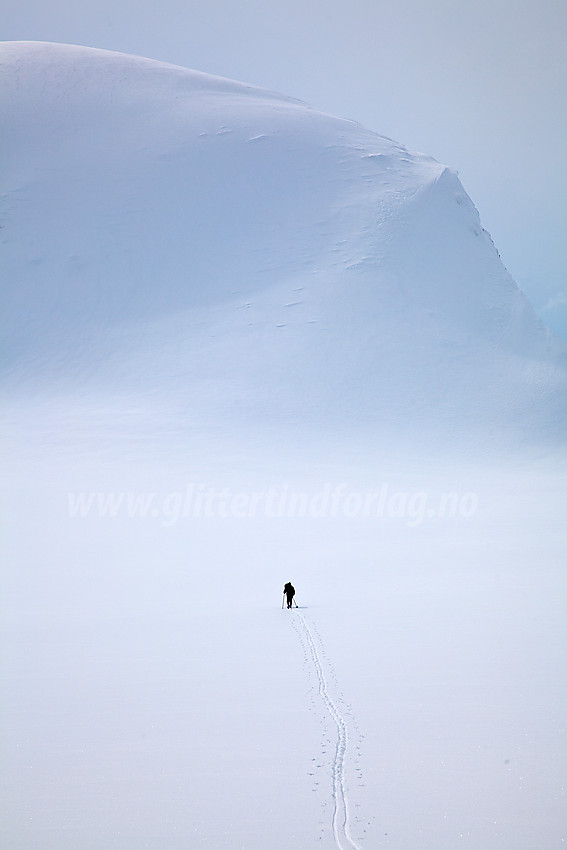 På vei mot Kvannefjellet Nord fra nord.