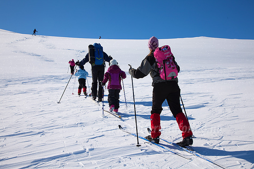 På vei opp den siste kneika mot Slettningsegge fra nord.