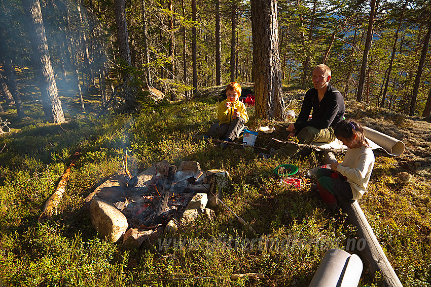 Bålkos like ved toppen på Puttekollen.