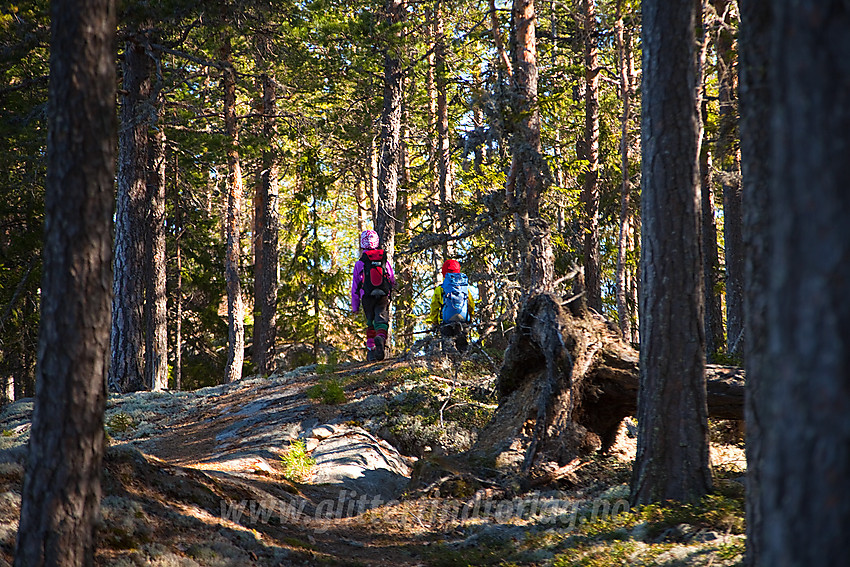 På Puttekollen.