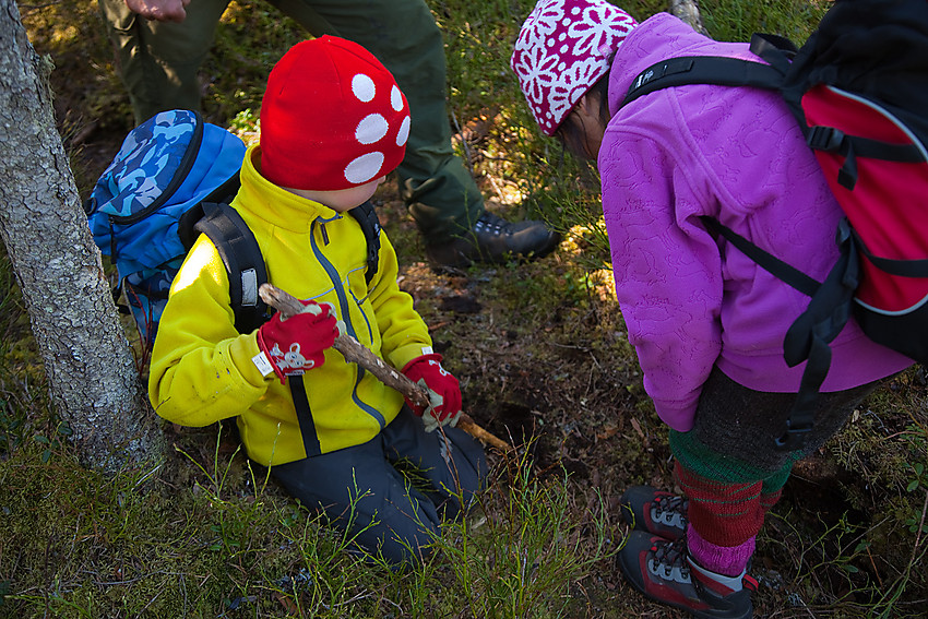 En død mus funnet på stien fra Puttekollen begraves.