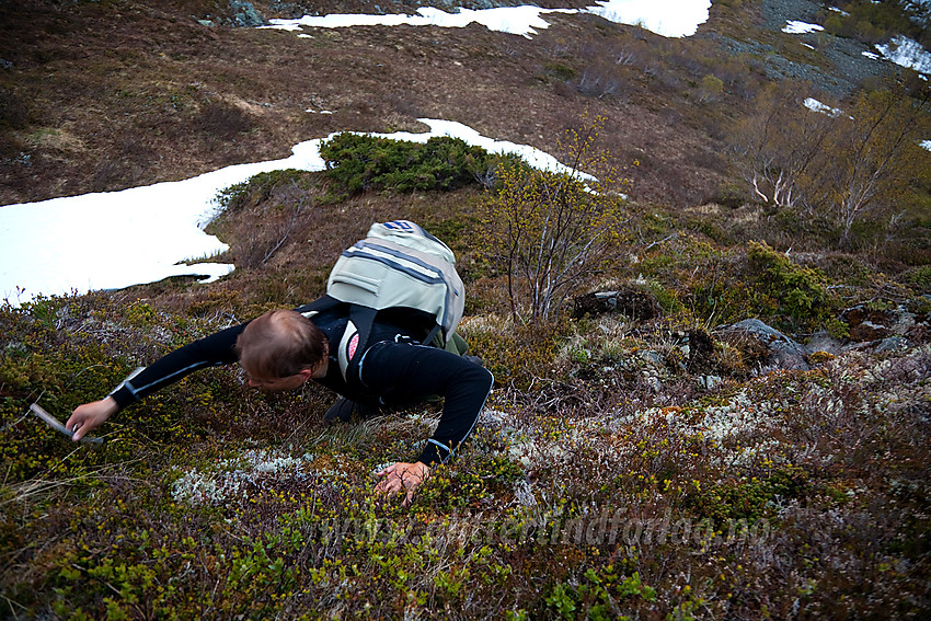 På vei opp den bratteste kneika mot Sauaklypet på tur til Stiganosi.