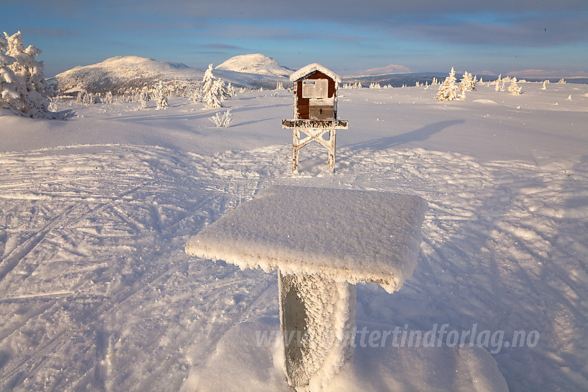 På toppen av Skardåsen (1071 moh) mot Skarvemellen og Rundemellen.