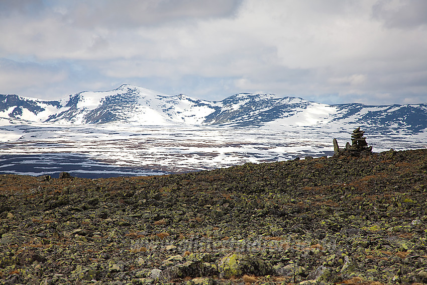 Det flate topplatået på Griningsdalshøe. Stornubben i bakgrunnen.