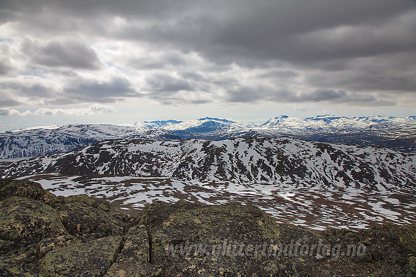 Utsikt fra Dyrtjønnhøe sørvestover mot Griningsdalshøe og Jotunheimen.