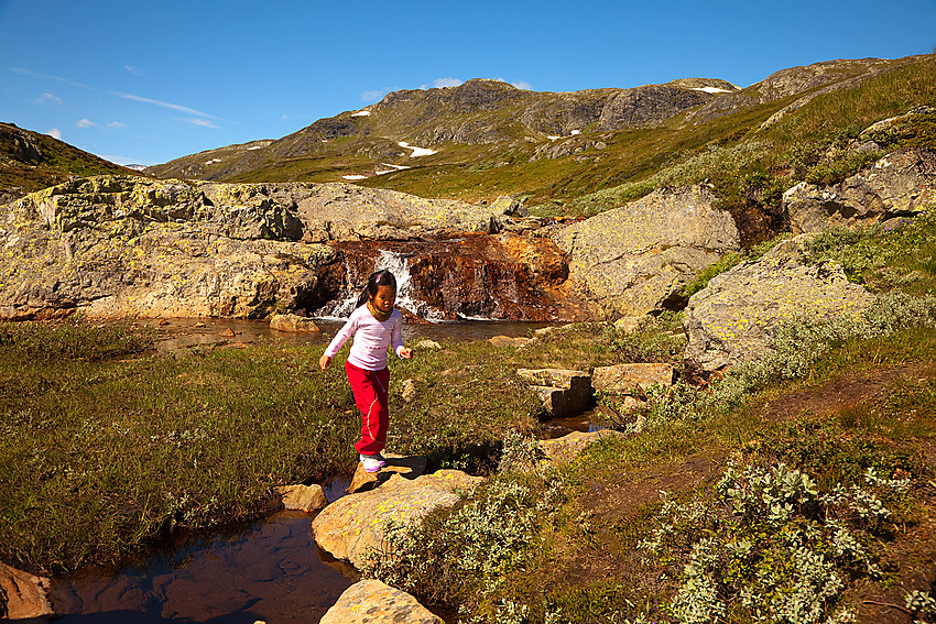 Ved utløpet av Heimre Fagerdalen med Heimre Fagerdalshøe i bakgrunnen.