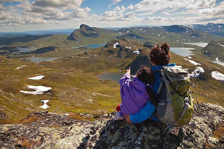 Fra Heimre Fagerdalshøe mot Fagerdalen, Mefjellet og Bitihorn bl.a.