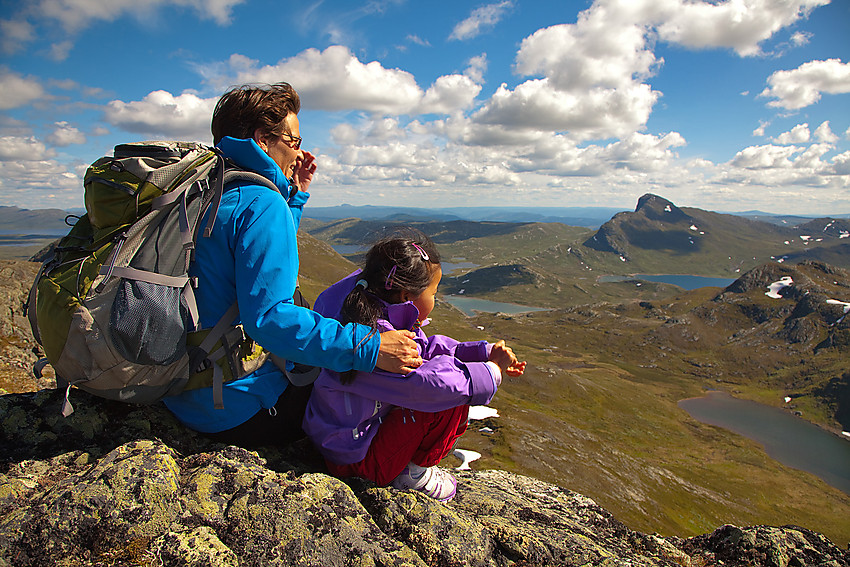 Fra Heimre Fagerdalshøe mot Fagerdalen, Mefjellet og Bitihorn bl.a.