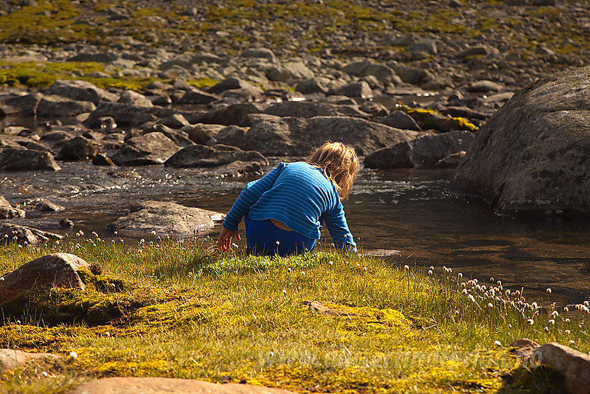 Drikkepause i Svartdalen.