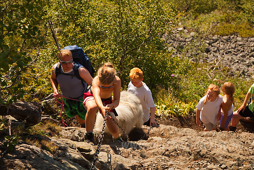 På vei opp Bukkelægret med Barnas Turlag Valdres.