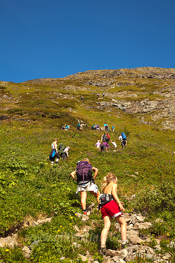 Barnas Turlag Valdres på vei opp den øvre delen av Bukkelægret.