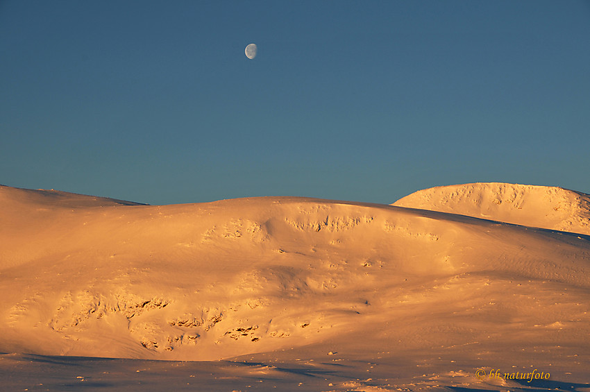 En flott dag på Valdresflya med 26 minus