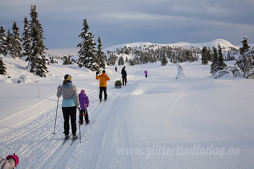 I skiløypa fra Aurdal Fjellpark mot bl.a. Bjørgovarden. Dvergaknatten ses i bakgrunnen.