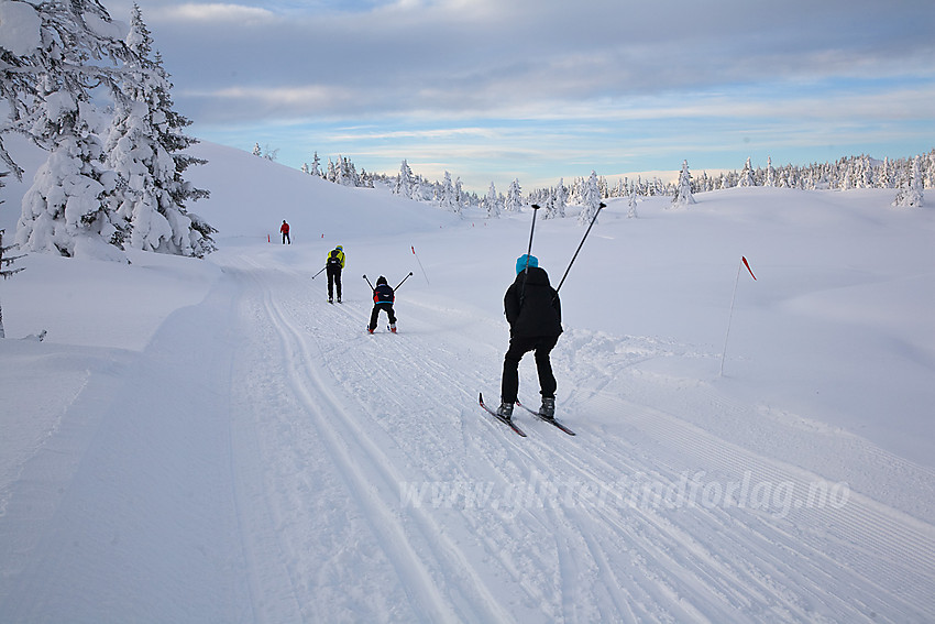 Fra skiløype mot Bjørgovarden fra Aurdal fjellpark.