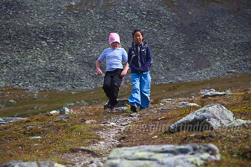 På vei ned fra Grindane.