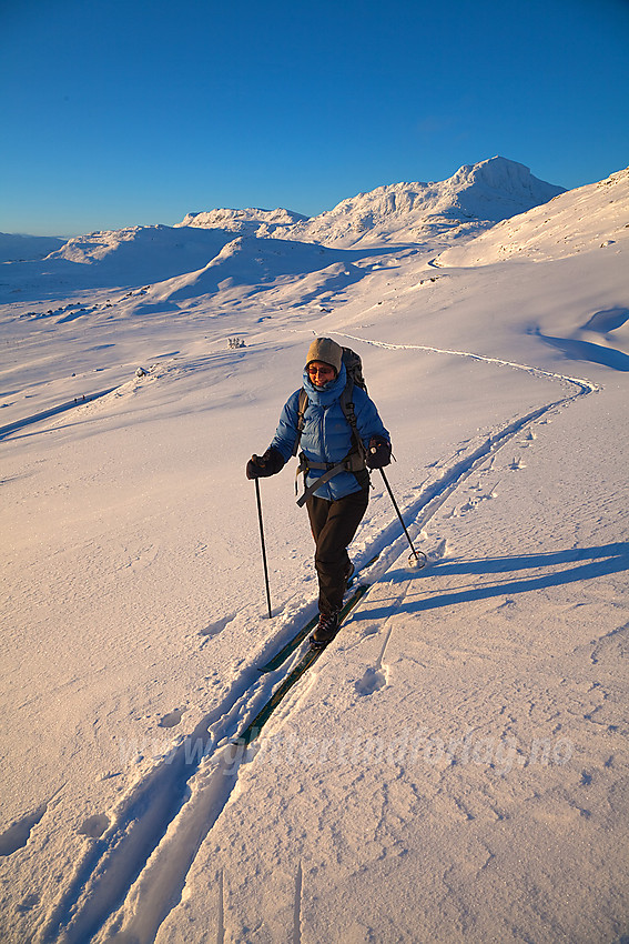 På vei mot Heklefjell en iskald desemberdag med Bitihorn bak.