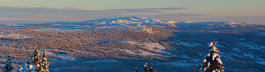 Fra Skardåsen mot Synnfjellet.