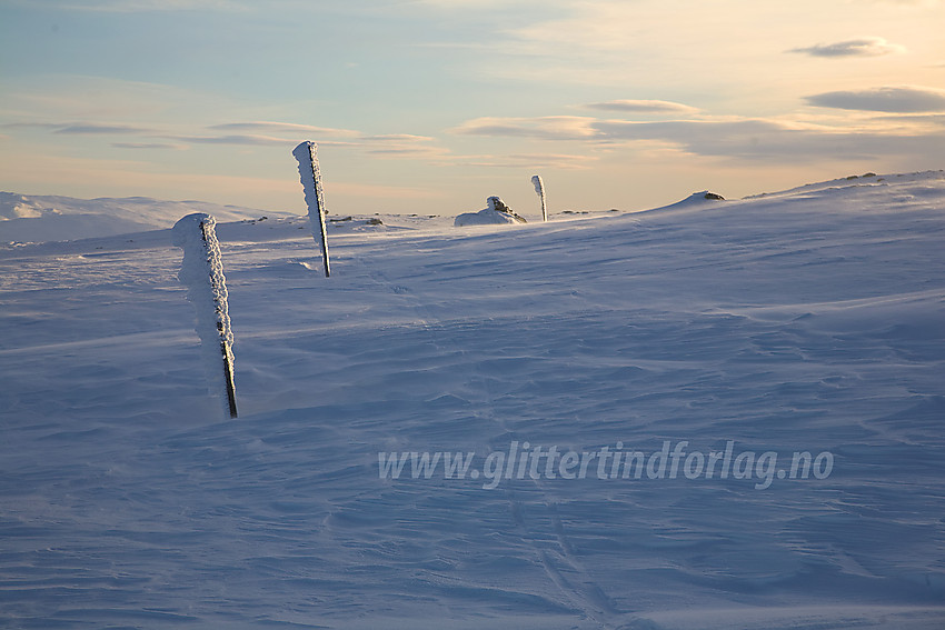 Vinterstaker på fjellet fra Flatvollen over mot Reinsjøen.