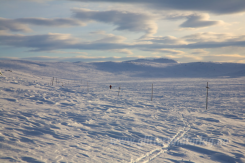 Skiløype langs Reinsjøen.