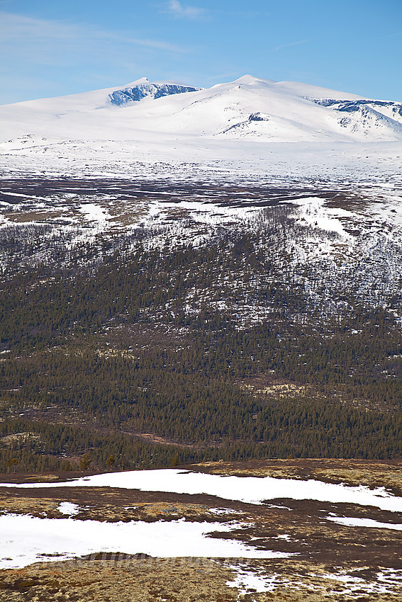 Fra Ørnkampen mot Nautgardstinden og Stornubben.