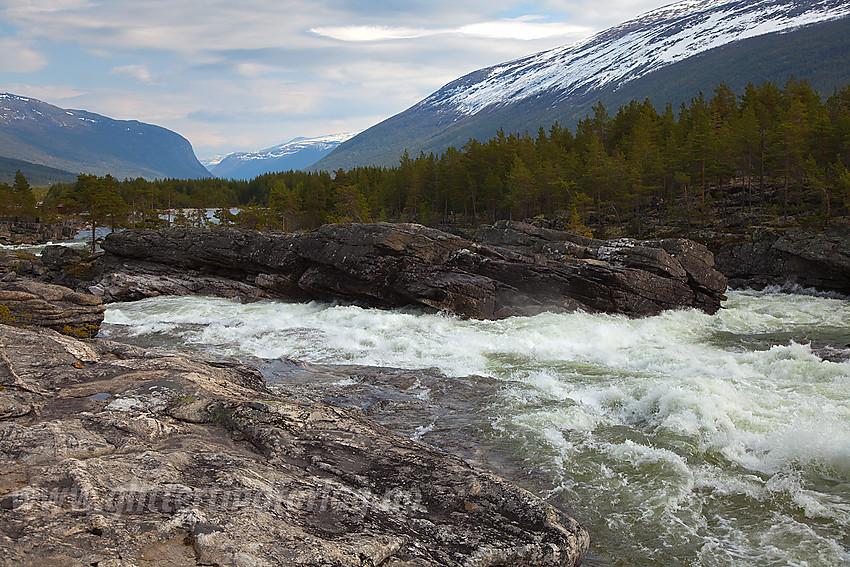 Ved Dønfossen.