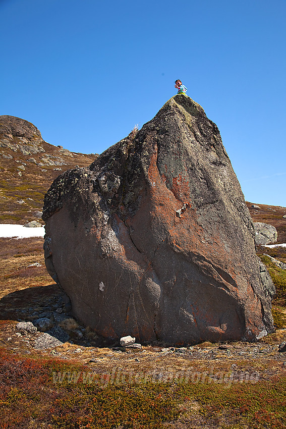 Pause på stein under en tur til Søre Brurskardknappen. 