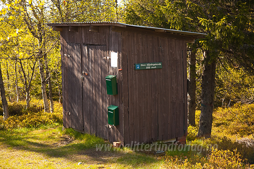 På toppen av Store Skjellinghovde.