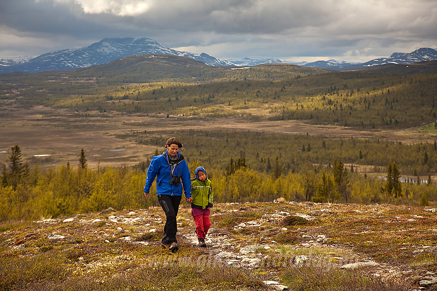 På vei til Fullsennknatten med Myrebærhamaren og Skaget i bakgrunnen.