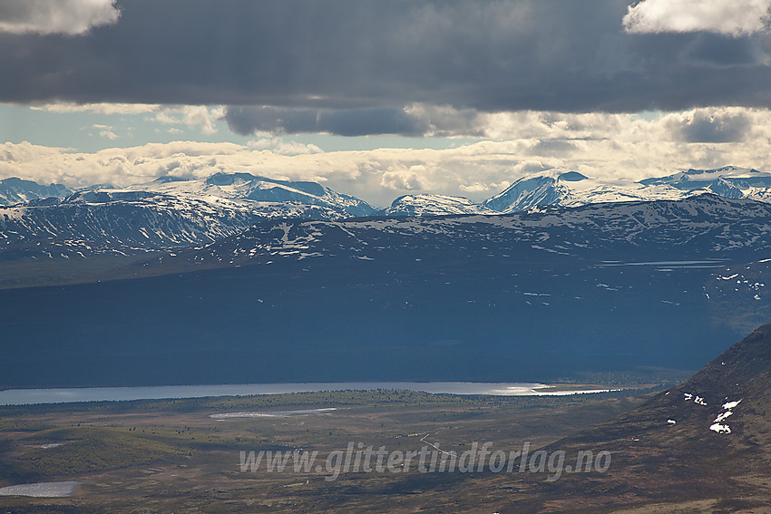 Utsikt fra Saukampen mot Jotunheimen med bl.a. Tjønnholstinden, Veslfjellet og Besshøe.