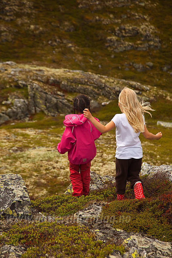 I fint driv fra Roåkerknappen mot Kidliknappen.