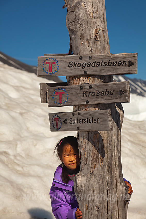 Skiltstolpe ved Leirvassbu.