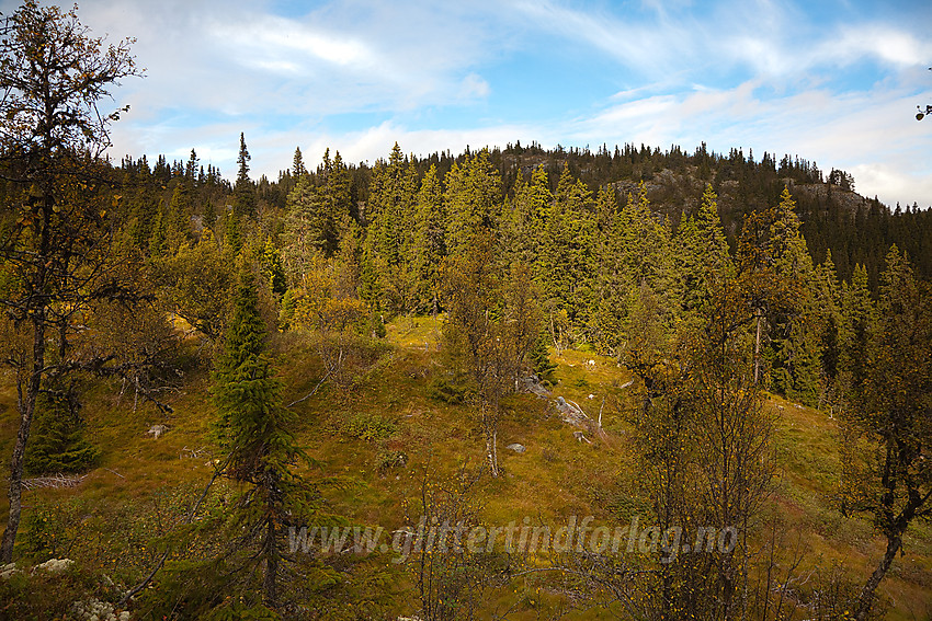 Mot den navnløse toppen vest for Makalausfjellet.