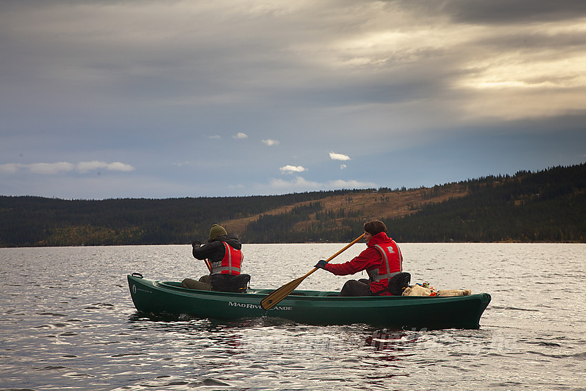 Padling på Øyangen i regi av Beito Huskytours. 