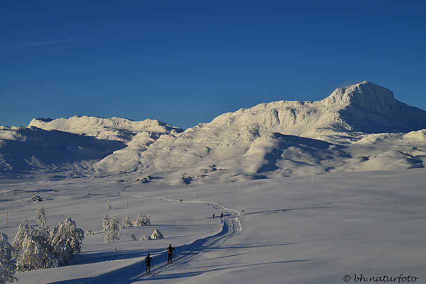 Flott dag i fjellet