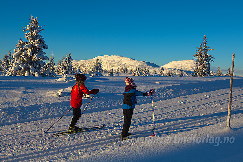 På tur til Skardåsen, Skarvemellen og Rundemellen i bakgrunnen.