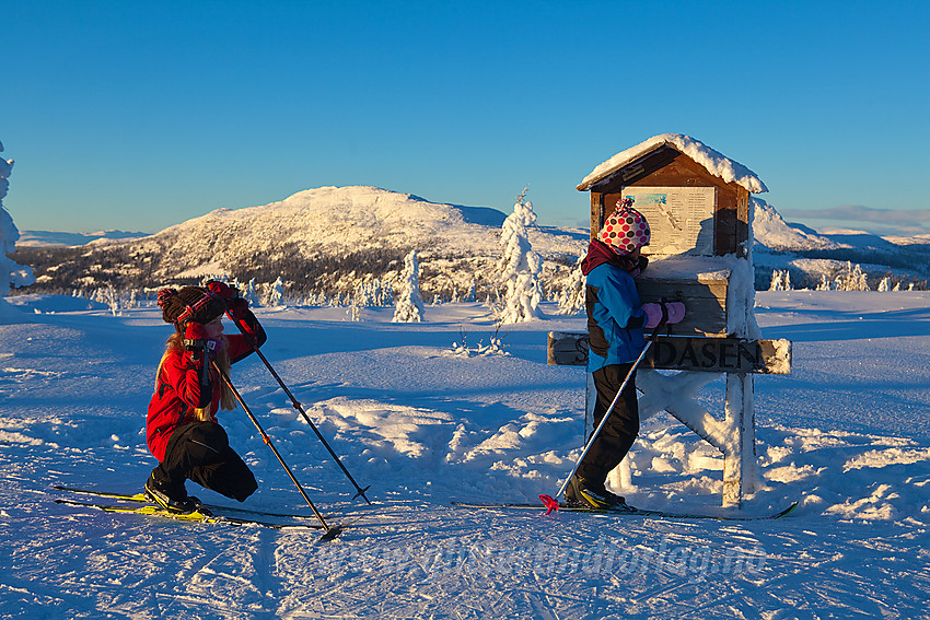 På toppen av Skardåsen med Skarvemellen i bakgrunnen.