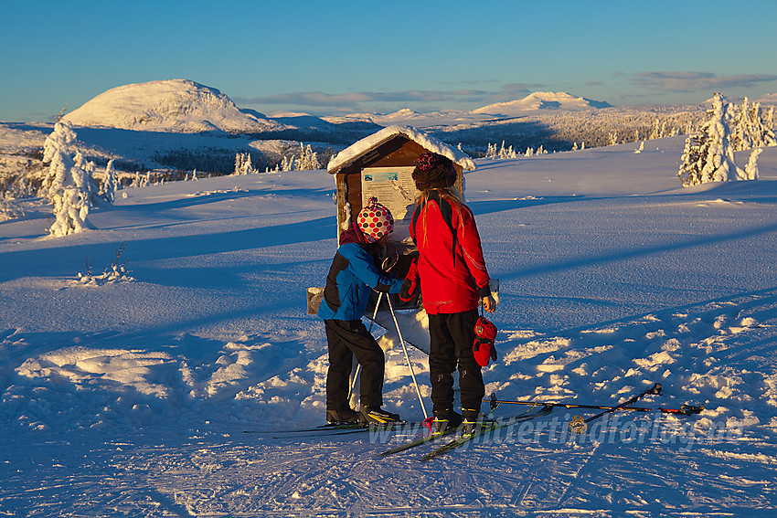 På toppen av Skardåsen, klare til å skrive i boka. Rundemellen bl.a. i bakgrunnen.