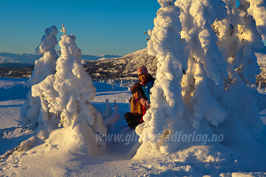 Flotte granskulpturer på toppen av Skardåsen.