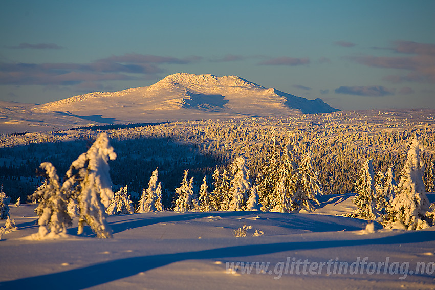 Med telelinse fra Skardåsen mot Skaget.