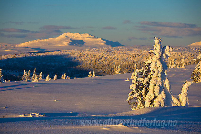 På toppen av Skardåsen med Skaget i det fjerne.