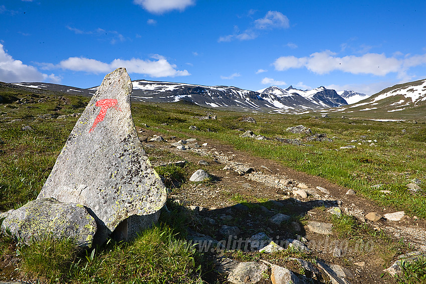 Rødmerket DNT-sti i Veodalen med Veotindane i bakgrunnen.