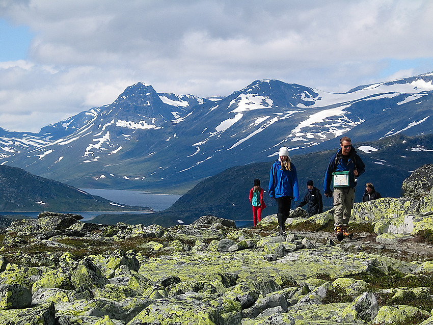 Fjellvandrere ankommer toppen på Gravolskampen. I bakgrunnen Bygdin og Gjendealpene.