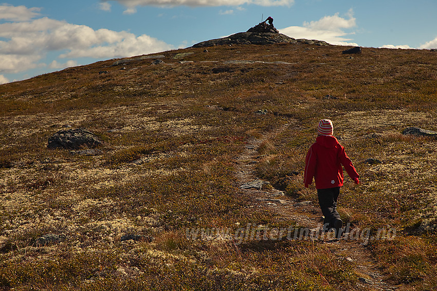 Nærmer seg toppen på Haugsetfjellet.