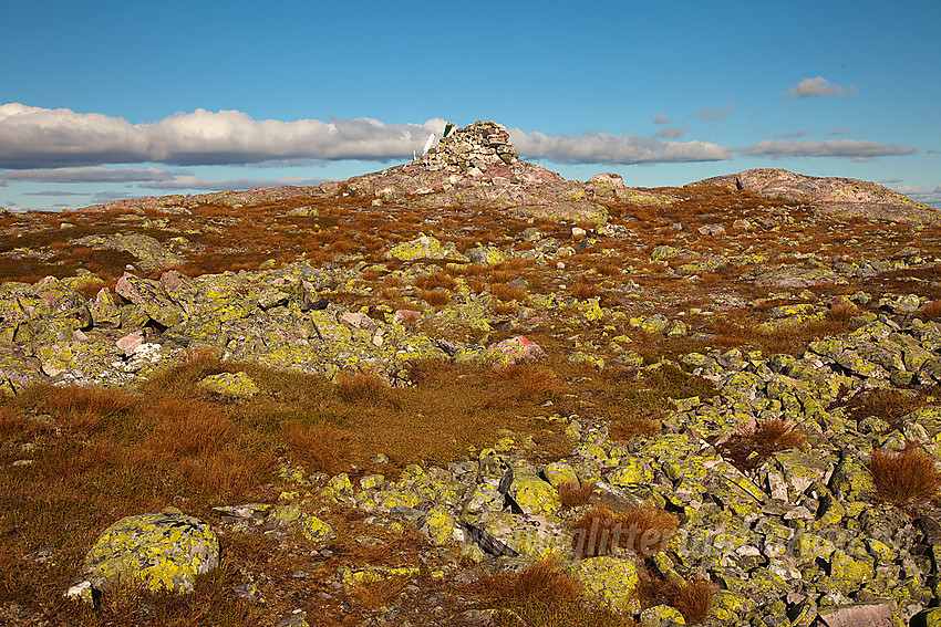 På Skorvetoppen.