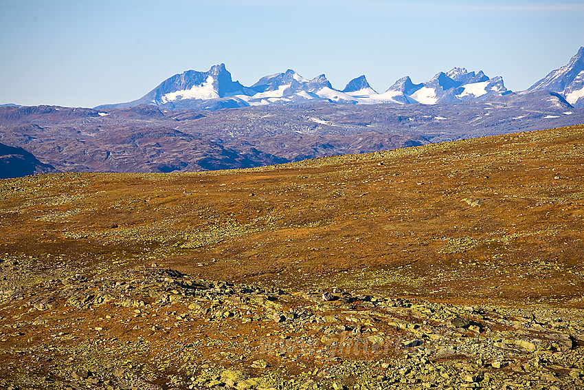 Fra Bergsfjellet mot Hurrungane.