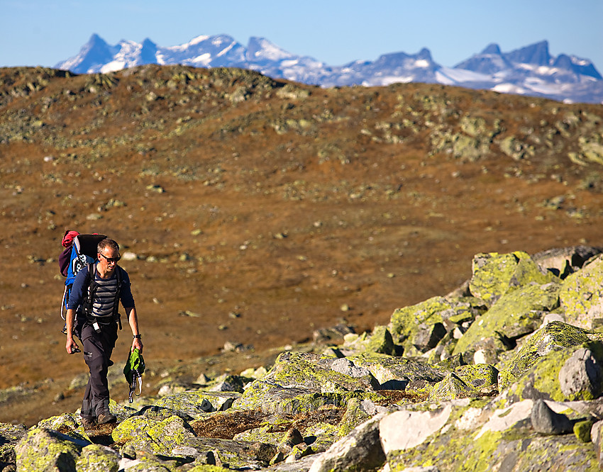 På tur til Bergsfjellet med Hurrungane i bakgrunnen.