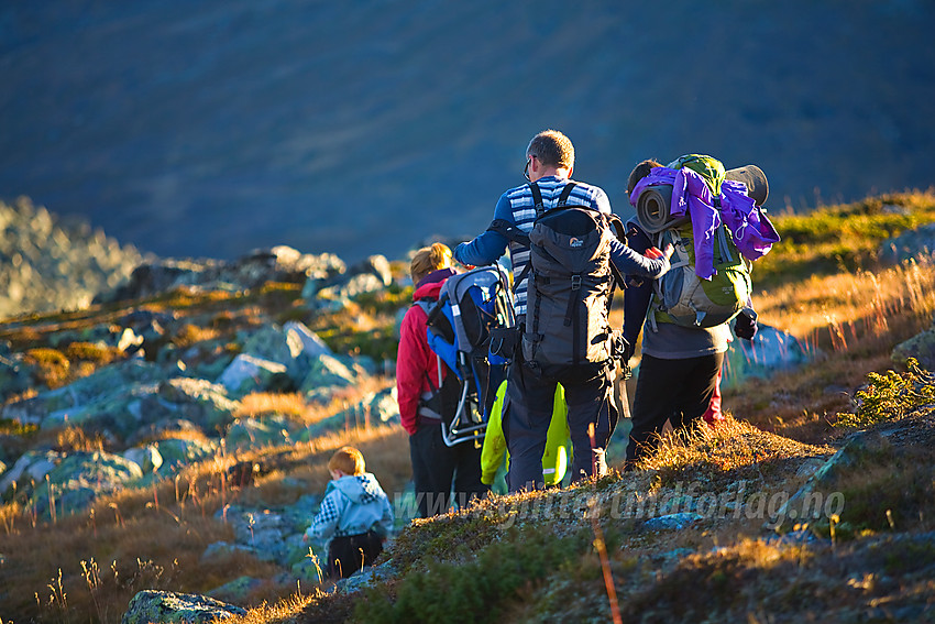 Fjellvandrere på retur fra Bergsfjellet i kveldslys. 