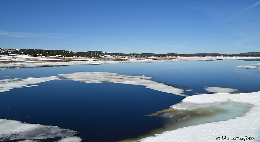 Sommerdag ved Kroksjøen