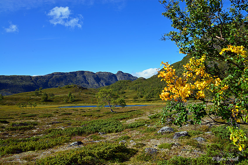 En flott høstdag i fjellet